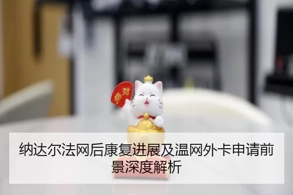 na-da-er-fa-wang-hou-kang-fu-jin-zhan-ji-wen-wang-wai-ka-shen-qing-qian-jing-shen-du-jie-xi-2-622.jpg