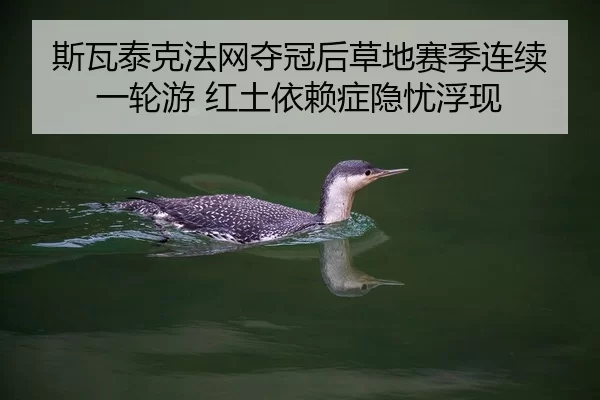 si-wa-tai-ke-fa-wang-duo-guan-hou-cao-di-sai-ji-lian-xu-yi-lun-you-hong-tu-yi-lai-zheng-yin-you-fu-xian-2-534.jpg